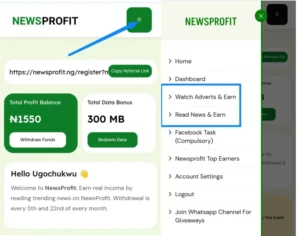 How to earn on Newsprofit 