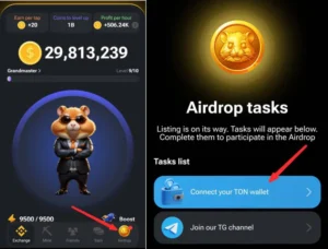 How to connect Ton wallet to hamster 