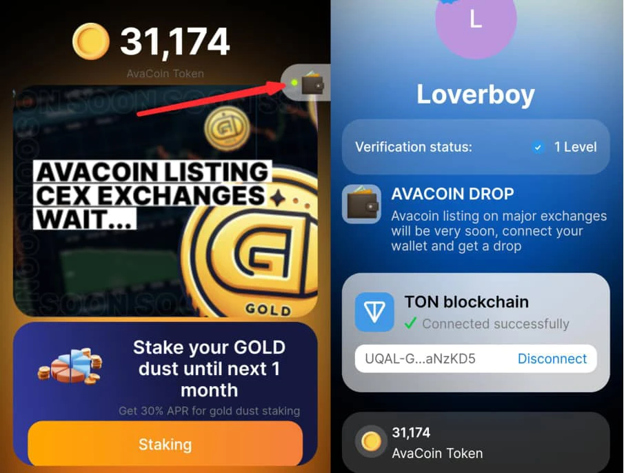 How to connect Ton wallet to Avacoin 
