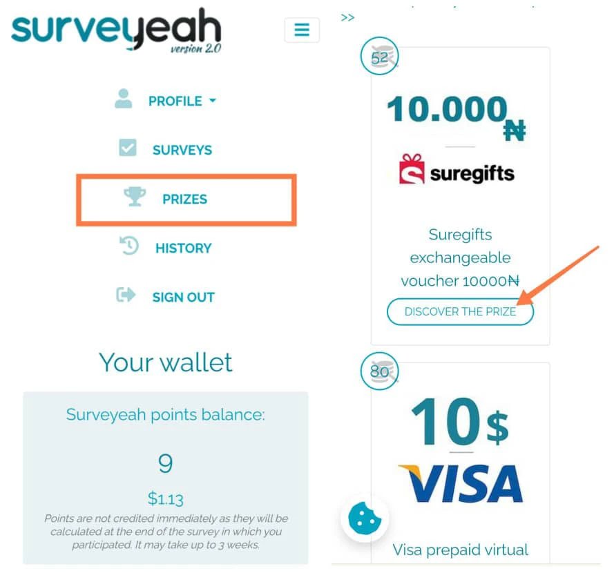 How users get paid on surveyeah 