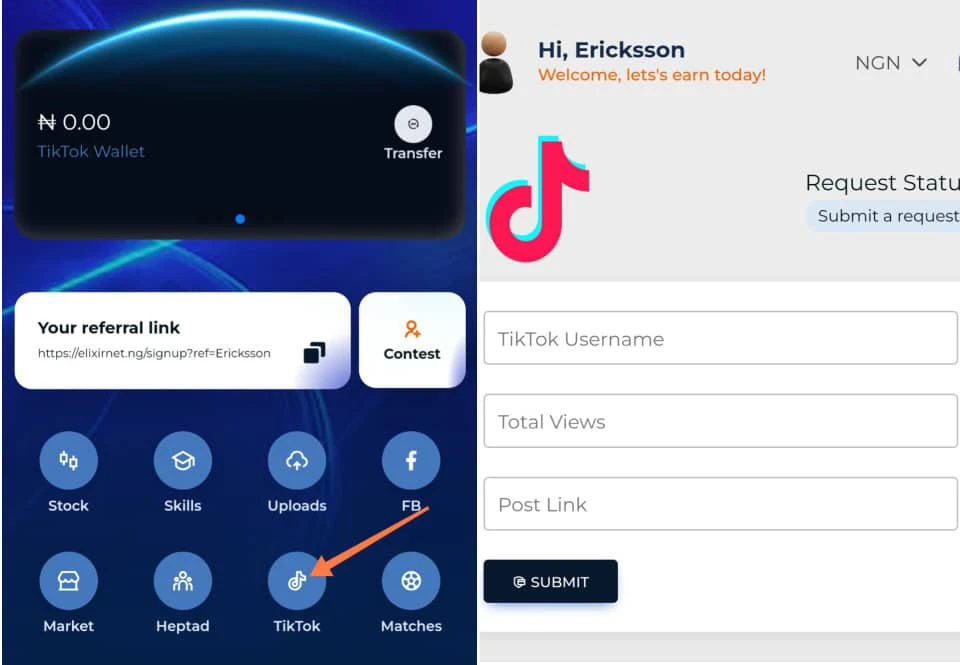 Elixirnet Tiktok task 