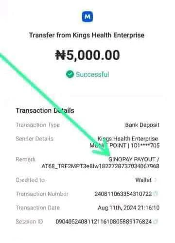 Fake Ginopay payment proof 