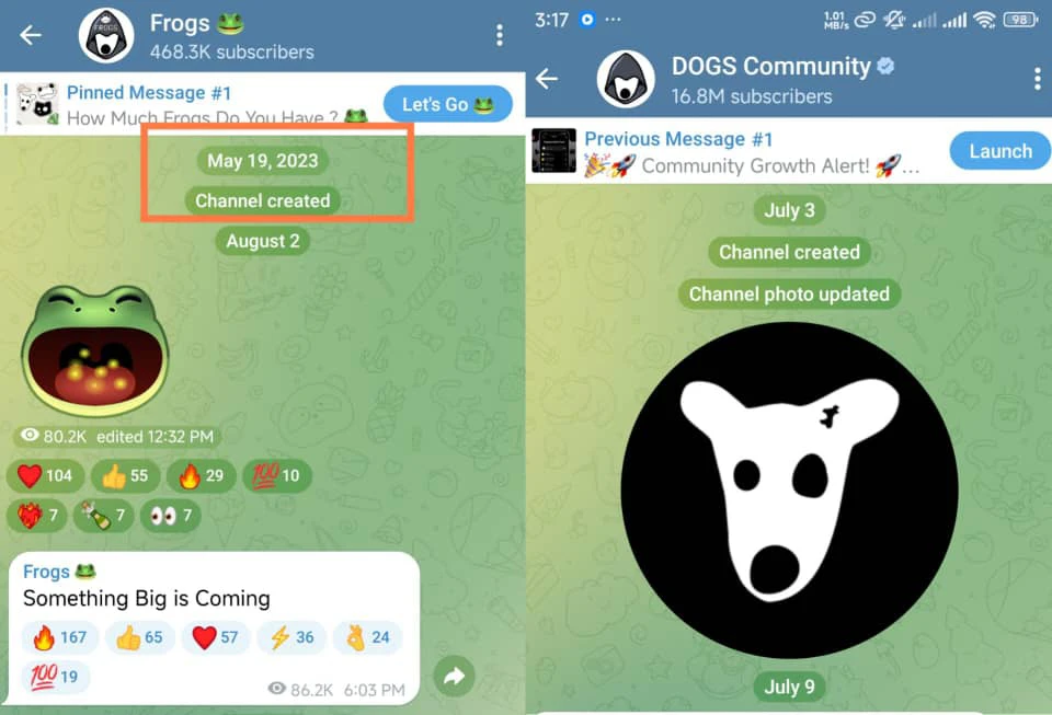 When frogs telegram channel was created 