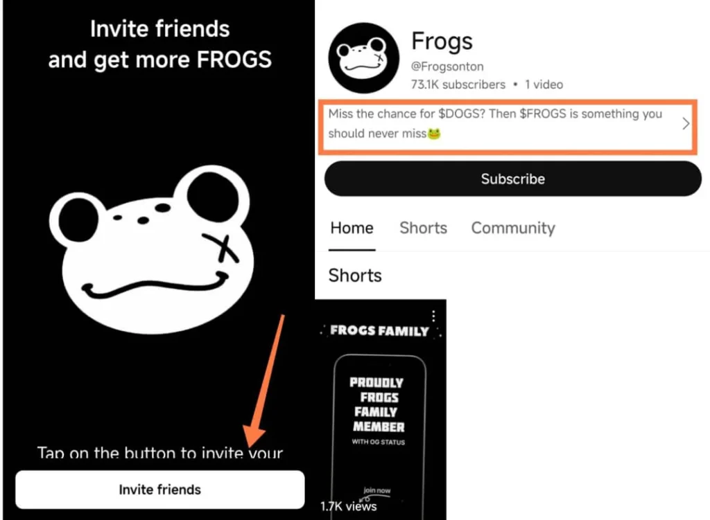 Why frogs airdrop may be scam 