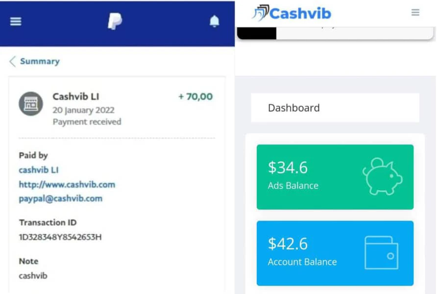 Cashvib.com review