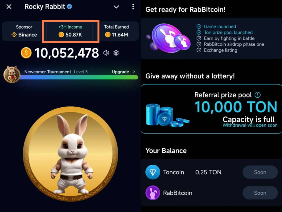 Rocky rabbit profit vs point balance 