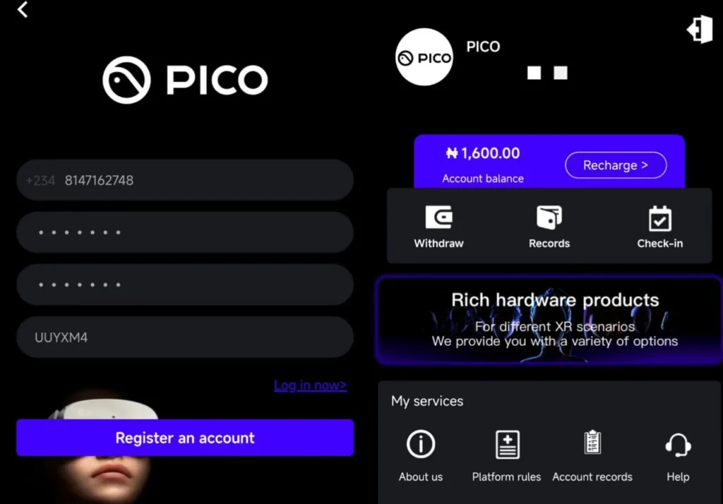 How does Pico-vr.com work 