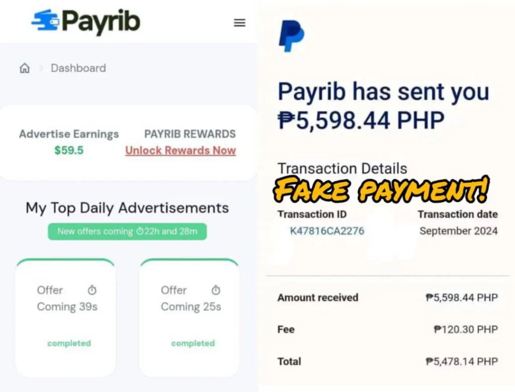 Payrib review