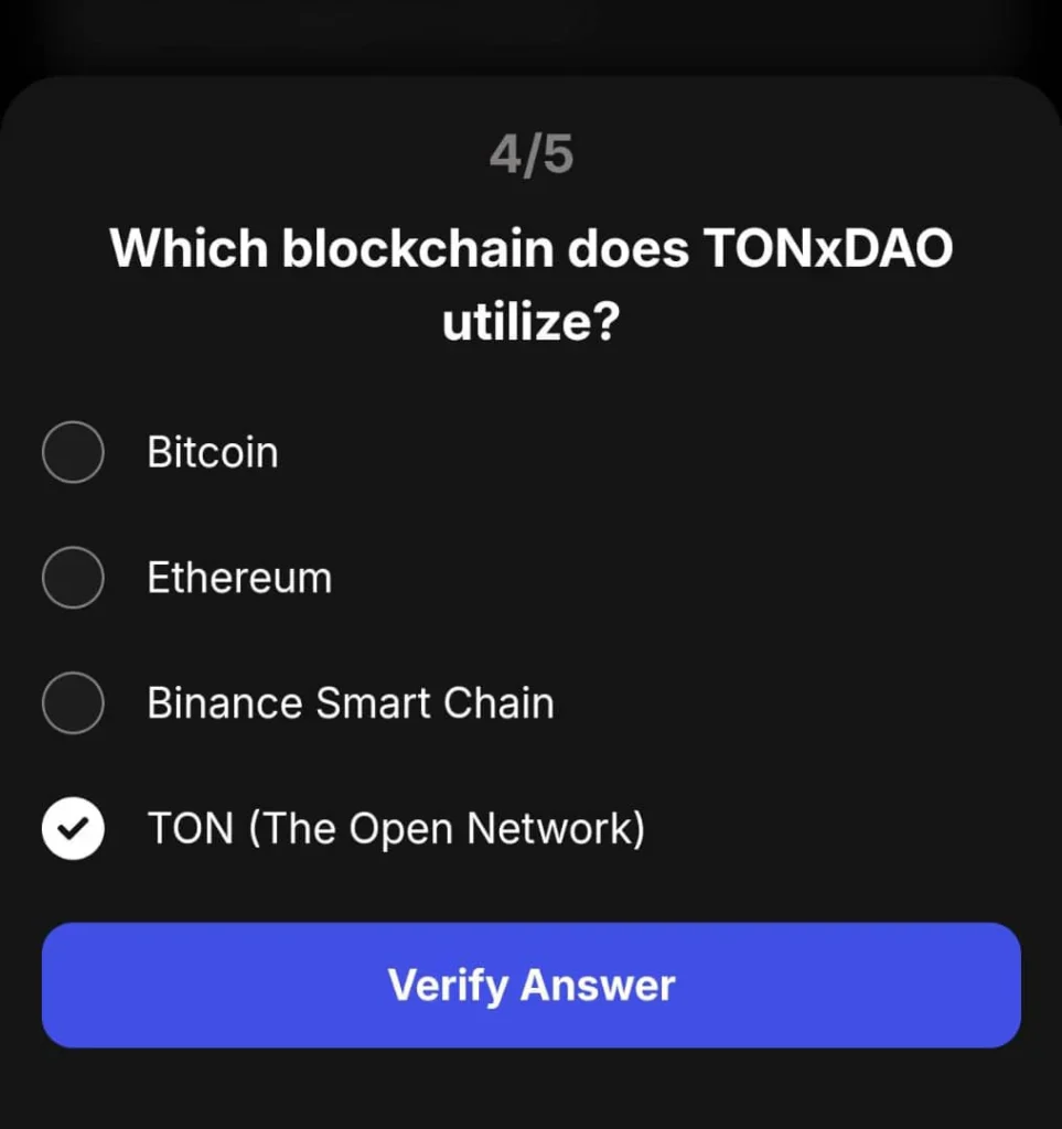 Which Blockchain Does to TONxDAO Utilize? 