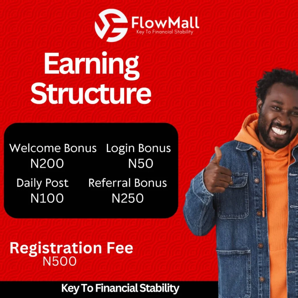 How does flowmall.com.ng work